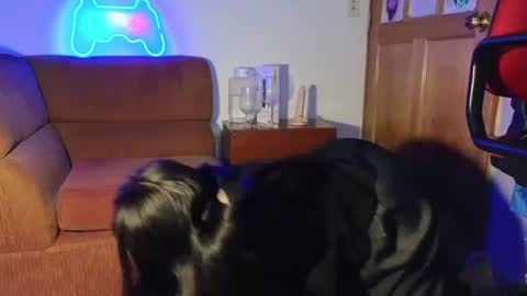 kitty online show from December 2024 05:15:01 AM