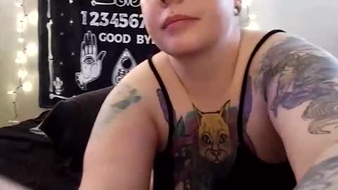 Car online show from November 2025 02:17:01 PM