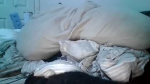 Snapshot of carvelj chatting on June 2026 07:33:02 AM carvelj online show from June 2026 07:33:02 AM