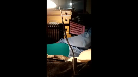 caryb online show from February 2026 08:56:01 AM