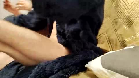 casal_301 online show from February 2025 10:20:02 PM