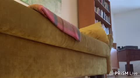 Snapshot of casperdavidfriedrich chatting on February 2026 03:53:02 PM casperdavidfriedrich online show from February 2026 03:53:02 PM