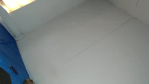 Snapshot of cassandra_delighty chatting on February 2025 08:39:01 AM cassie online show from February 2025 08:39:01 AM