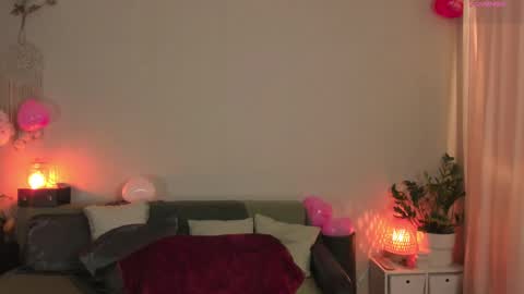 Snapshot of cassisland chatting on February 2025 11:08:02 PM cassandra online show from February 2025 11:08:02 PM