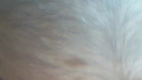 Snapshot of castells chatting on September 2025 04:09:02 PM castells online show from September 2025 04:09:02 PM