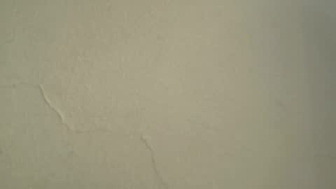 cat_nasty online show from June 2026 08:10:01 PM