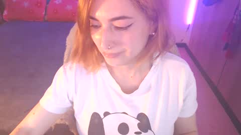 cat naughty online show from February 2025 05:09:02 PM