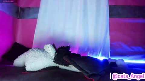 Snapshot of cata_angel1 chatting on January 2025 05:31:01 AM Cata Angel online show from January 2025 05:31:01 AM