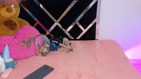 Snapshot of catalina_smith__ chatting on March 2026 10:15:02 PM Catalina online show from March 2026 10:15:02 PM