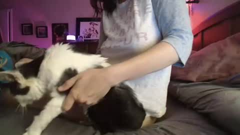 some call me djcatnips some call me CC but i love it when you call me miss catnips  online show from July 2026 03:00:02 AM