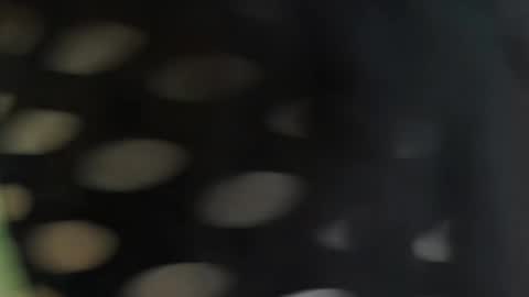 cattleyascaly online show from September 2025 07:39:02 PM