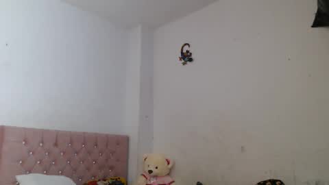 Snapshot of ccamilo_ chatting on June 2026 01:23:01 PM camilo online show from June 2026 01:23:01 PM