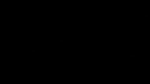 Tomys online show from July 2026 11:08:01 PM