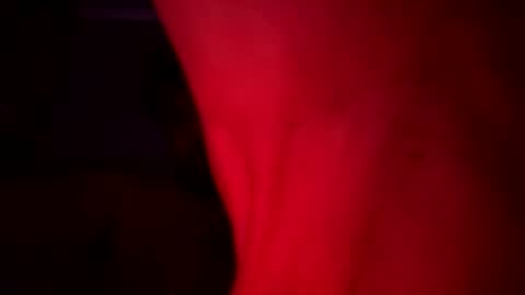 cdcro1986 online show from June 2026 04:37:02 AM
