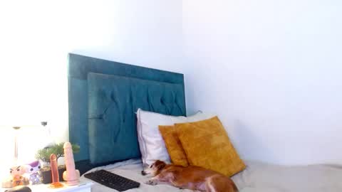 Cedrixx10 online show from February 2026 08:58:01 PM