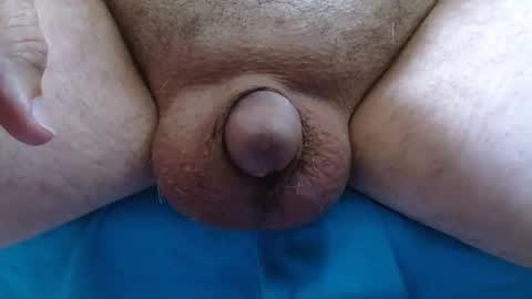 cefalu online show from October 2025 05:59:02 PM