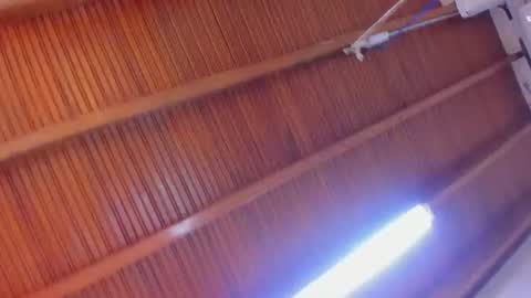  CELESTE PRADO  online show from July 2026 12:47:01 PM