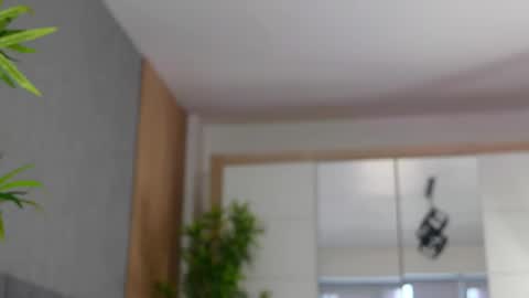 Celestara online show from March 2025 11:19:01 AM