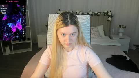 your cute kitty online show from May 2026 08:07:01 PM