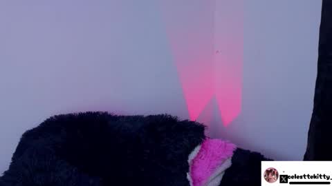 celestte_evans_1 online show from February 2026 06:17:01 AM