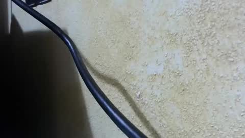 Snapshot of celhoduro23c chatting on November 2025 08:55:01 PM celhoduro23c online show from November 2025 08:55:01 PM