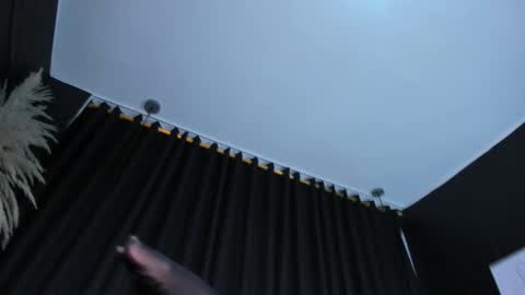 CelinaYHanck online show from November 2025 01:43:01 PM