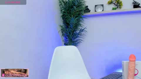 Snapshot of cellesteevans chatting on February 2025 08:57:01 PM Celeste online show from February 2025 08:57:01 PM