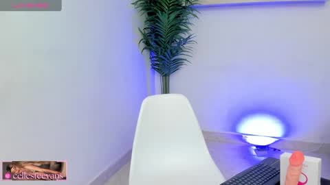 Snapshot of cellesteevans chatting on February 2025 04:41:02 PM Celeste online show from February 2025 04:41:02 PM