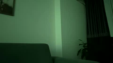 Snapshot of cescon11 chatting on December 2024 09:09:02 PM Cescon11 online show from December 2024 09:09:02 PM