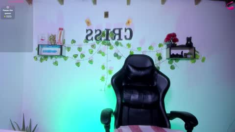 Snapshot of cfiscm chatting on February 2026 10:39:01 PM NAMOR online show from February 2026 10:39:01 PM