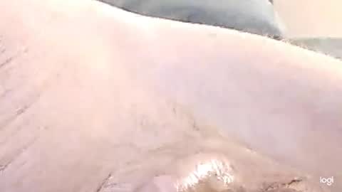 cfnmkinky28 online show from December 2024 09:07:01 AM