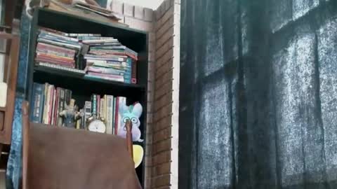 Snapshot of cguffey2284 chatting on February 2025 04:05:01 PM cguffey2284 online show from February 2025 04:05:01 PM