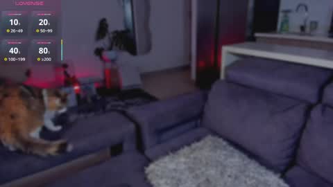  x online show from June 2026 02:59:01 AM
