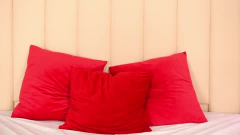 Channelangeless online show from February 2025 05:29:01 PM