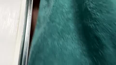 Snapshot of charlieg123 chatting on November 2025 08:50:02 AM Gary online show from November 2025 08:50:02 AM