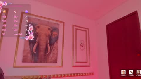Charlottee online show from July 2026 03:23:01 AM