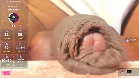 Snapshot of charlottelaurent chatting on February 2025 11:11:02 PM Char online show from February 2025 11:11:02 PM