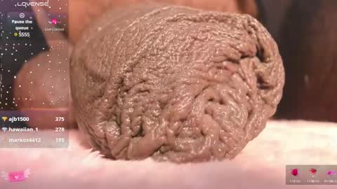 Snapshot of charlottelaurent chatting on March 2025 01:01:02 AM Char online show from March 2025 01:01:02 AM