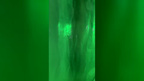 Chase2Attract online show from March 2026 02:44:01 PM