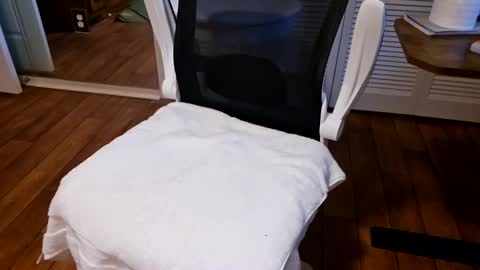 chaytay12 online show from January 2025 02:35:01 PM