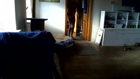 chefben666 online show from February 2026 11:29:02 AM