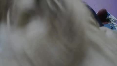 Cheila online show from November 2025 02:23:01 PM