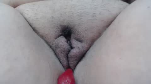 Cheila online show from January 2026 03:03:01 PM