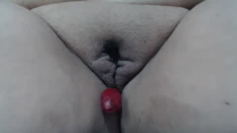 Cheila online show from May 2026 01:41:01 PM