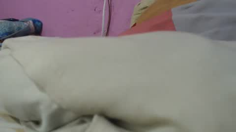 Cheila online show from June 2026 01:33:01 PM