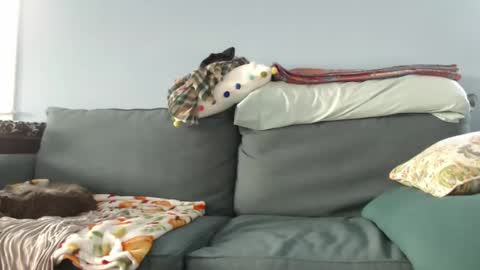 Snapshot of chelseasentra1 chatting on December 2024 07:35:01 PM Chelsea online show from December 2024 07:35:01 PM