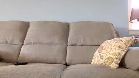 Snapshot of chelseasentra1 chatting on October 2025 02:14:02 PM Chelsea online show from October 2025 02:14:02 PM