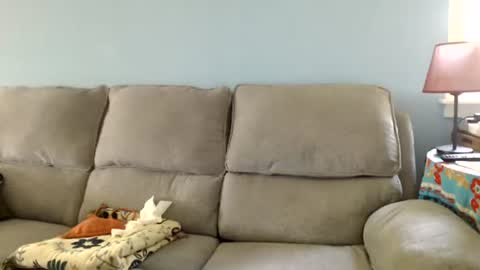 Chelsea online show from July 2026 01:50:01 PM
