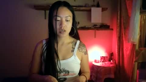 Snapshot of cherrycam777 chatting on November 2025 04:56:01 AM Miss Cherry online show from November 2025 04:56:01 AM