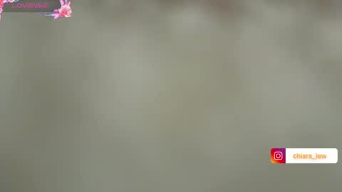 Snapshot of chiaretta99 chatting on December 2024 05:48:01 PM Chiara Lovense is active Pvt open online show from December 2024 05:48:01 PM